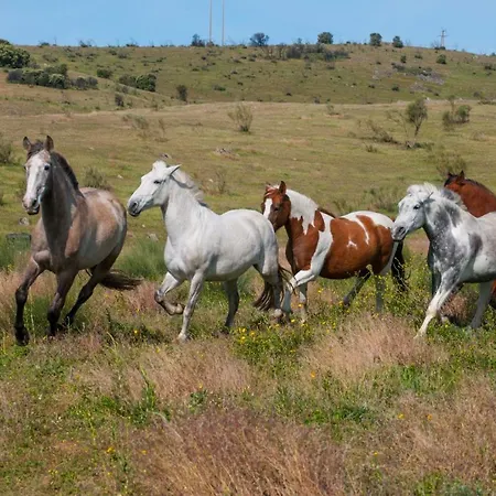 Casa Rural Cruces De Caminos Jaktstuga *