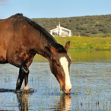 Casa Rural Cruces De Caminos Jaktstuga Plasencia