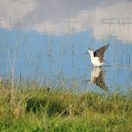 Casa Rural Cruces De Caminos Lodge *