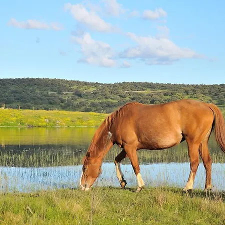 Jaktstuga Casa Rural Cruces De Caminos Plasencia