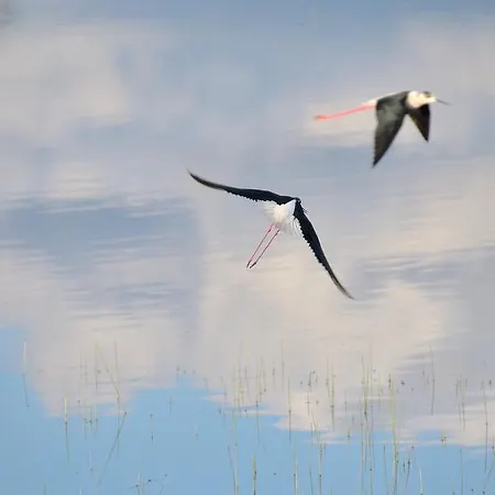Casa Rural Cruces De Caminos Plasencia