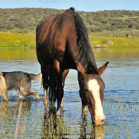 Casa Rural Cruces De Caminos