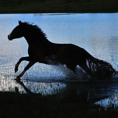 Jaktstuga Casa Rural Cruces De Caminos
