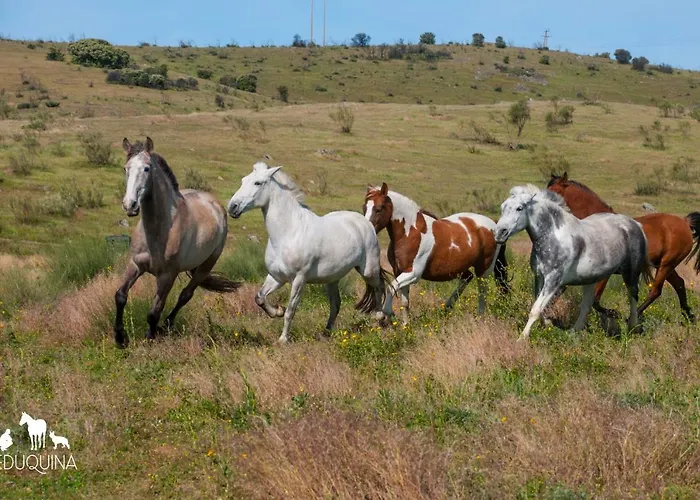 Cruces De Caminos Gerendaház *