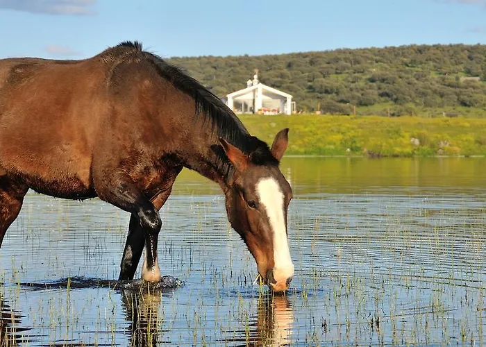 Cruces De Caminos Gerendaház Plasencia