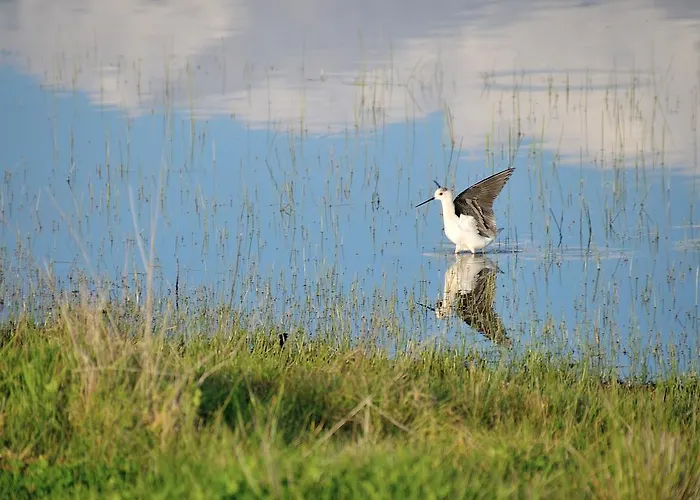 Cruces De Caminos Lodge *