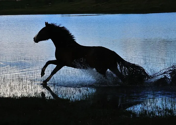 Lodge Cruces De Caminos